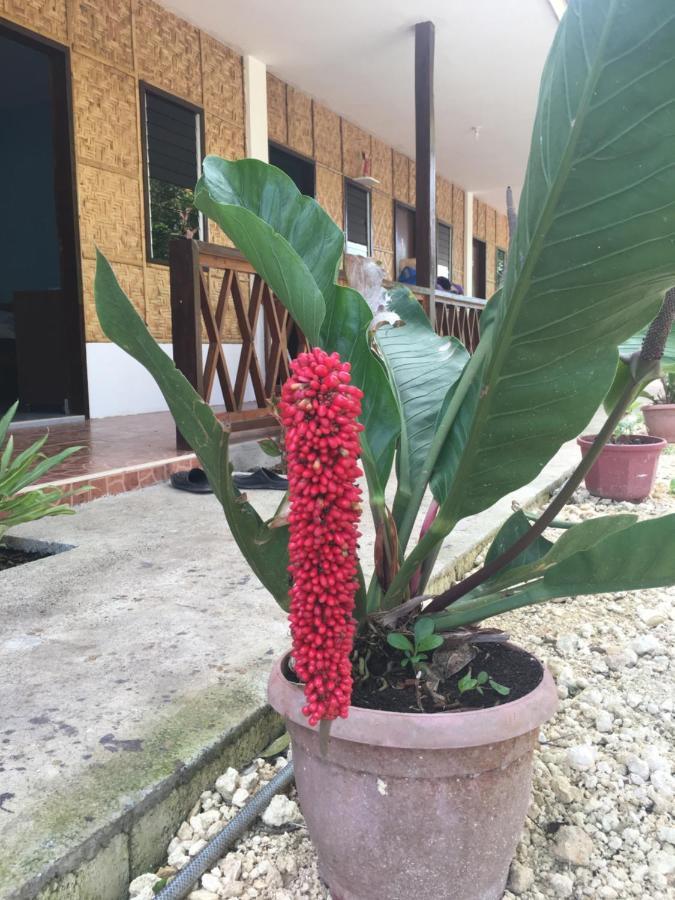 Panglao Rainbow Inn Tagbilaran City Exteriör bild